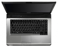 laptop Toshiba, notebook Toshiba SATELLITE PRO L300-1BA (Pentium Dual-Core T3200 2000 Mhz/15.4