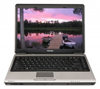 laptop Toshiba, notebook Toshiba SATELLITE PRO M300-EZ1001V (Core 2 Duo T8100 2100 Mhz/14.1