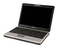laptop Toshiba, notebook Toshiba SATELLITE PRO M300-S1002X (Core 2 Duo T8300 2400 Mhz/14.1