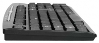 Trust Camiva Multimedia Keyboard Black USB+PS/2 photo, Trust Camiva Multimedia Keyboard Black USB+PS/2 photos, Trust Camiva Multimedia Keyboard Black USB+PS/2 picture, Trust Camiva Multimedia Keyboard Black USB+PS/2 pictures, Trust photos, Trust pictures, image Trust, Trust images