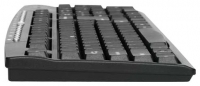 Trust Multimedia Keyboard Black USB+PS/2 photo, Trust Multimedia Keyboard Black USB+PS/2 photos, Trust Multimedia Keyboard Black USB+PS/2 picture, Trust Multimedia Keyboard Black USB+PS/2 pictures, Trust photos, Trust pictures, image Trust, Trust images