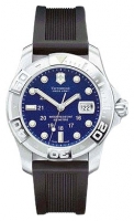 Victorinox V251040 watch, watch Victorinox V251040, Victorinox V251040 price, Victorinox V251040 specs, Victorinox V251040 reviews, Victorinox V251040 specifications, Victorinox V251040