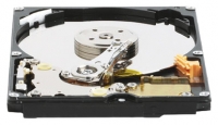 Western Digital WD1600BEVE photo, Western Digital WD1600BEVE photos, Western Digital WD1600BEVE picture, Western Digital WD1600BEVE pictures, Western Digital photos, Western Digital pictures, image Western Digital, Western Digital images