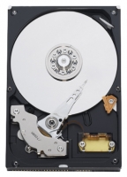 Western Digital WD3000JB specifications, Western Digital WD3000JB, specifications Western Digital WD3000JB, Western Digital WD3000JB specification, Western Digital WD3000JB specs, Western Digital WD3000JB review, Western Digital WD3000JB reviews