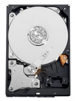 Western Digital WD3200AVCS specifications, Western Digital WD3200AVCS, specifications Western Digital WD3200AVCS, Western Digital WD3200AVCS specification, Western Digital WD3200AVCS specs, Western Digital WD3200AVCS review, Western Digital WD3200AVCS reviews