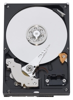 Western Digital WD5000ABPS specifications, Western Digital WD5000ABPS, specifications Western Digital WD5000ABPS, Western Digital WD5000ABPS specification, Western Digital WD5000ABPS specs, Western Digital WD5000ABPS review, Western Digital WD5000ABPS reviews